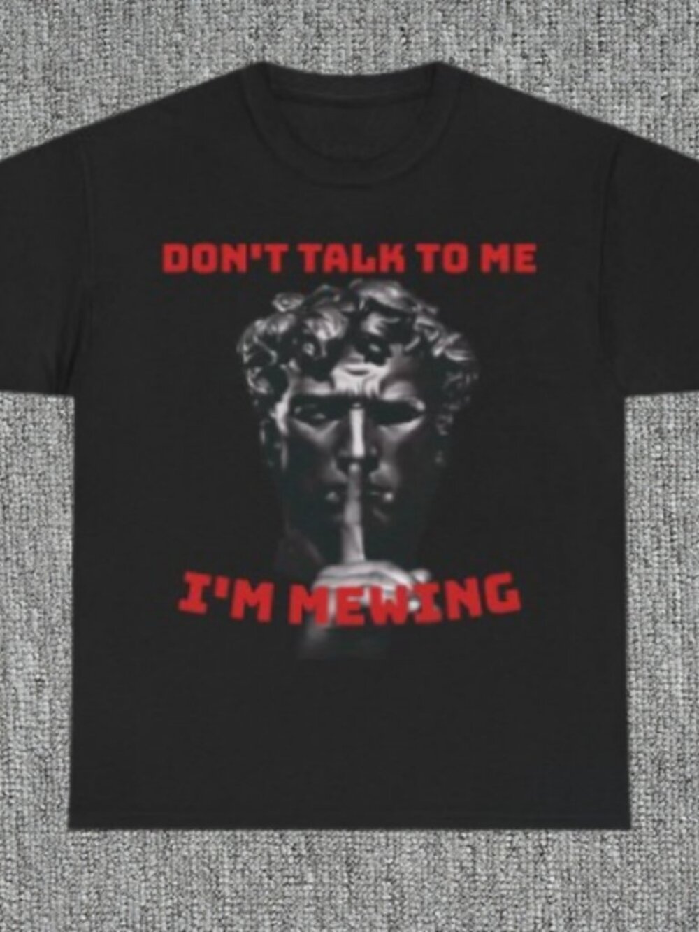 Don't Talk to Me I'm Mewing T-Shirt